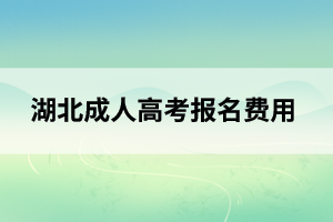 随州成人高考报名费用